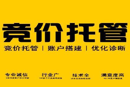 百度竞价排名案例：实战解析如何抢占市场先机